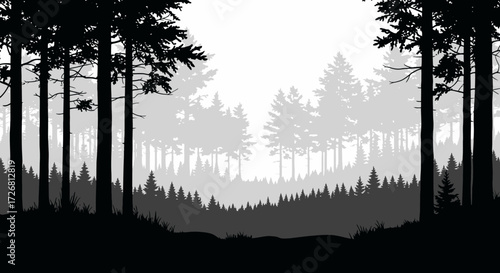Mystical evergreen forest with silhouettes creating a serene and atmospheric woodland landscape