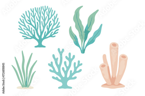 Colorful coral and seaweed illustrations showcasing diverse marine life forms in a vibrant underwater scene
