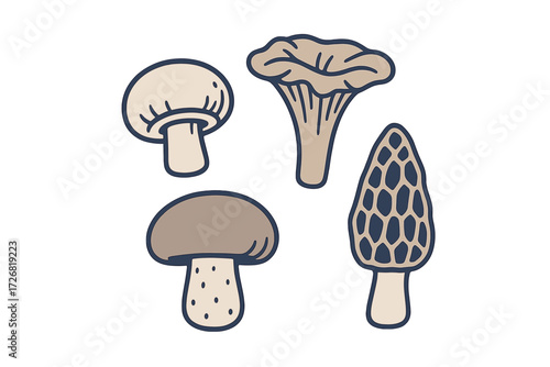 Various types of mushrooms including chanterelles, morels, and button mushrooms against a simple background