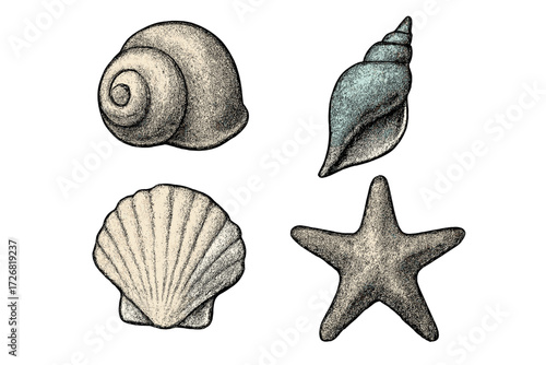 Beautiful collection of seashells and starfish displayed together on a simple background