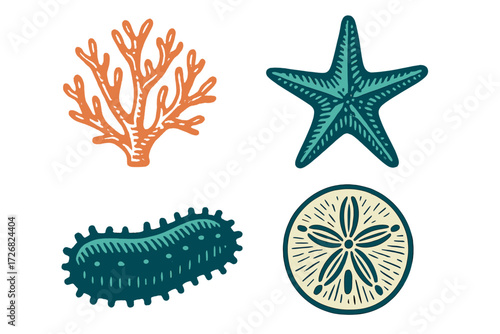 Marine life illustrations featuring coral, starfish, sea cucumber, and sand dollar enjoy vibrant colors and patterns in a playful design