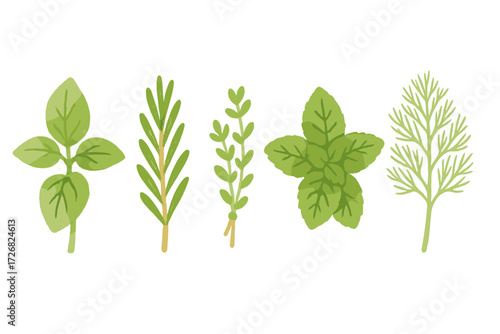 Fresh herbs displayed in a row showcasing unique shapes and textures for culinary use in cooking or garnishing dishes
