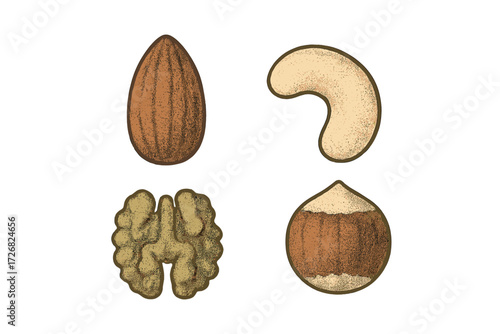 Assorted nuts including almonds, cashews, walnuts, and hazelnuts displayed in a simple layout on white background