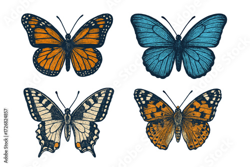 Colorful collection of butterflies showcasing different species in a detailed illustration format