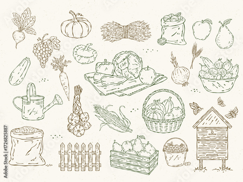 Line art vector set of farm harvest with pumpkin, beet, zucchini, onion, carrot, corn, cabbage, pepper, garlic, apple, pear, grapes, berries, basket, haystack, sack, fence, watering can, beehive, bees