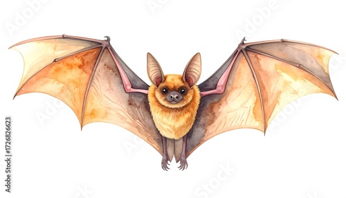 Watercolor bat illustration (1)