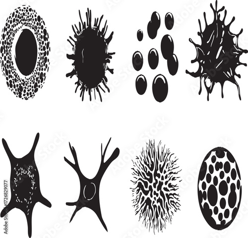 Vector art of set of aquatic plants and algae in monochrome