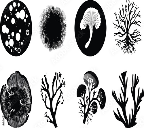 Vector art of plant growth stages, vector illustration