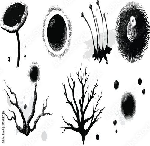 Vector art of plant growth stages, vector illustration