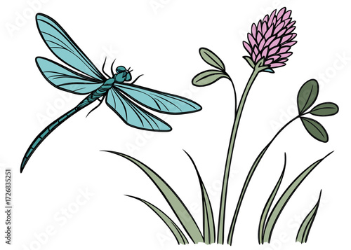 Dragonfly and clover flower illustration