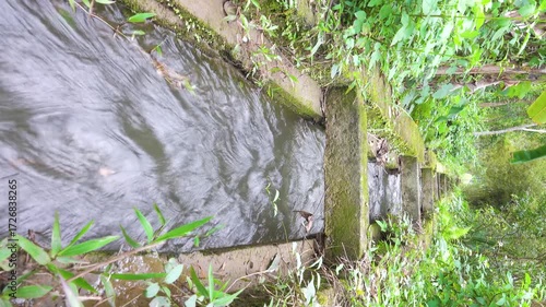Aryk - irrigation canal in Central-Shouth Asia where the water runs downhill, first of all, for watering fields