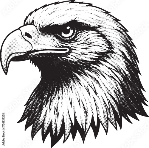 Black and white eagle head illustration with sharp beak and feathers bird raptor