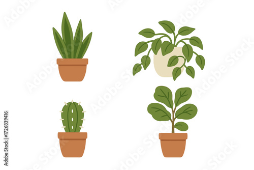 Green plants in clay pots arranged in a neat grid showcasing various types of indoor foliage