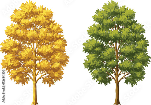 Autumn tree, summer tree, seasonal contrast, deciduous trees, green foliage, yellow leaves, nature background, landscape, seasonal change, tree comparison