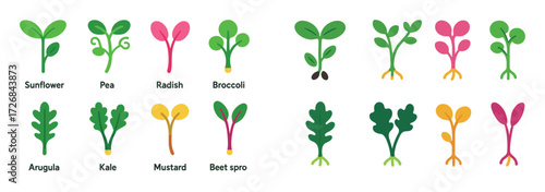 Microgreens Icon Grid