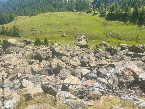 Rugged alpine terrain in the Mont Avic Natural Park, located in the Aosta Valley, Italy. The foreground features jagged rocks and sparse vegetation, including coniferous trees and small bushes.