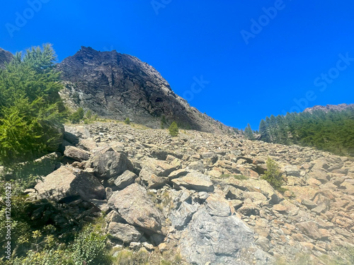 Rugged alpine terrain in the Mont Avic Natural Park, located in the Aosta Valley, Italy. The foreground features jagged rocks and sparse vegetation, including coniferous trees and small bushes.
