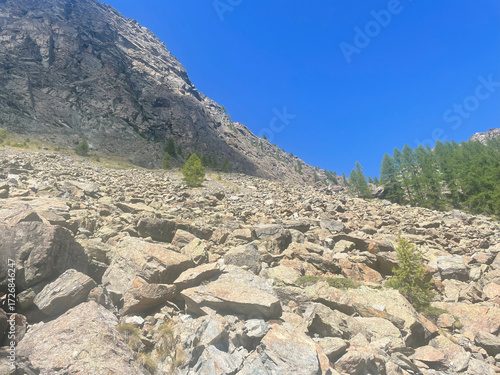 Rugged alpine terrain in the Mont Avic Natural Park, located in the Aosta Valley, Italy. The foreground features jagged rocks and sparse vegetation, including coniferous trees and small bushes.