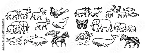 Animal Migration Doodles