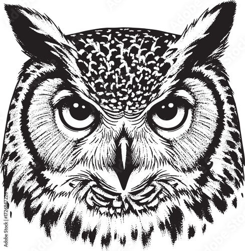 Great horned owl face close-up black and white illustration bird raptor