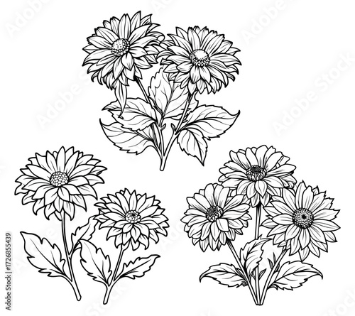 A Set of Three Black and White Flower Bouquet Illustrations, Featuring Dahlias, Daisies, and Chrysanthemums in a Detailed Line Art Style, Perfect for Coloring Books and Botanical Designs.
