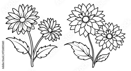 A Set of Two Black and White Flower Illustrations, Featuring Dahlias or Daisies with Stems and Leaves in a Simple Line Art Style, Perfect for Coloring Books and Botanical Designs