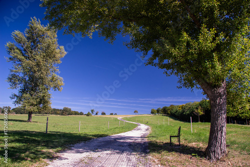 Photography Landscape - rural area in summer