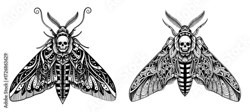 Vector art of two deaths head moths with skull in black and white style drawing