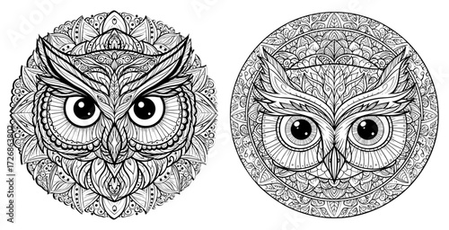 Vector art of two intricately designed owl heads with detailed patterns, showcasing unique artistry