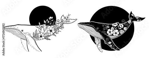 Vector art of two whales adorned with floral designs against black circles, showcasing artistic contrast