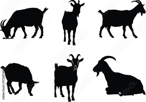 Goat silhouette vector set, domestic goat illustrations, grazing goat artwork, farm livestock design, horned goat graphics, black goat drawings, animal pasture