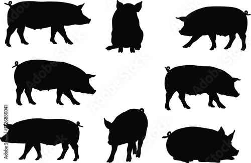 Pig silhouette vector set, walking, sitting, standing, sleeping, feeding, domestic livestock illustration, farm animal artwork, black pig shapes collection