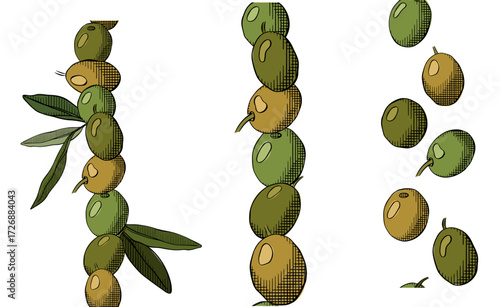 Olive berry and leaves seamless border vertical set. Vector graphic line ink colored illustration. Greek oil harvest. Packaging print for food design