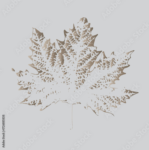 plane tree leaf vector icon background leaf