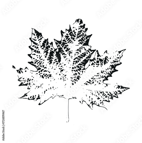 plane tree leaf vector icon background leaf