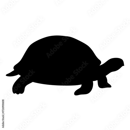 Silhouette of a turtle, an animal known for its slow speed and protective shell