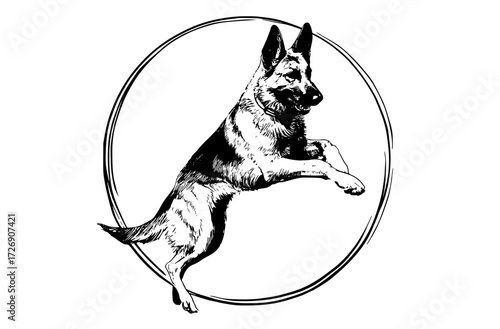 a black and white drawing of a dog jumping in a circleblack, circle, dog, german shepherd, illustration, jump, oval, paw, sheepdog, shepherd 