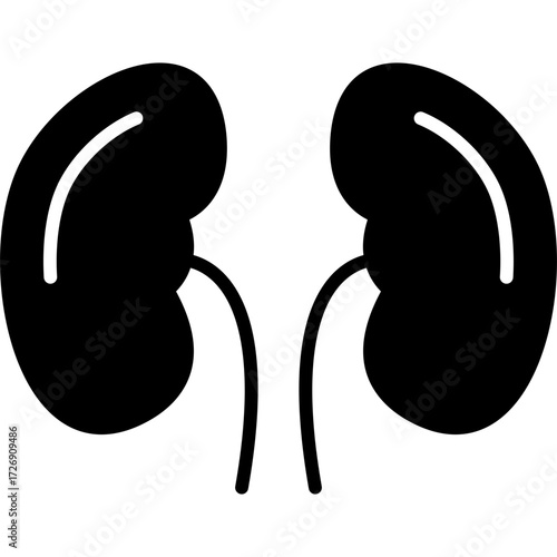 Kidneys Icon
