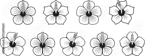 Orchid flower icon, Floral orchid vector, Exotic flower silhouette, Nature orchid artwork, Tropical bloom clipart, Orchid blossom design, Garden orchid outline, Stylish floral drawing, Decorative flow