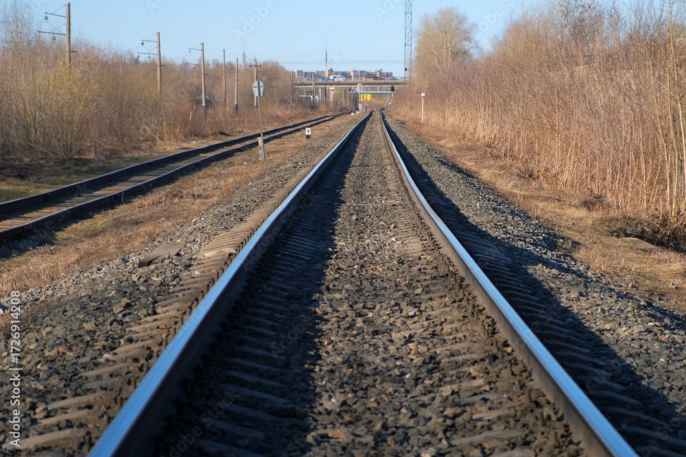 Fototapeta premium Railway, rails in city for public transport trains near automobile bridge. Two rail roads between forest trees early spring. Urban transportation infrastructure with railroad tracks on street in town.