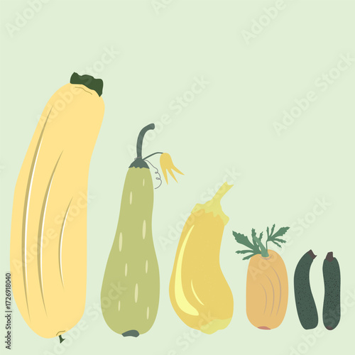 zucchini colored set