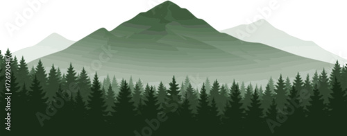 A misty, green mountain range with a forest of pine trees in the foreground.
