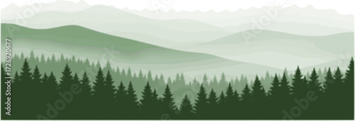A misty, green mountain range with a forest of pine trees in the foreground.
