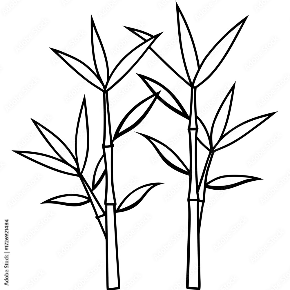 Obraz premium Bamboo Line Art Vector