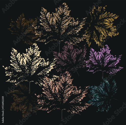 Young plane tree, sycamore twig with leaves in spring, isolated on white background, clipping path