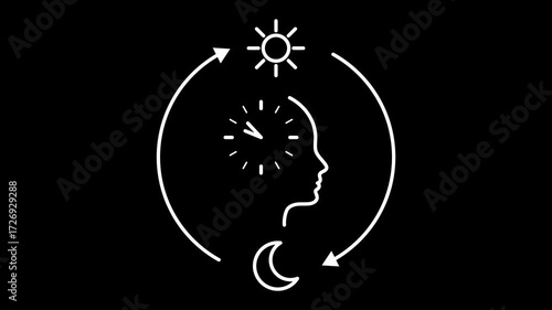 Circadian rhythm. Loop animation with human profile, clock, sun and moon cycle. Concept of circadian health, body clock, biological rhythm, sleep and wake cycle. Alpha channel, green screen background