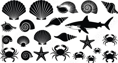 Marine life silhouette set, seashells, crabs, shark, starfish vector icons, black ocean creatures, underwater nature illustration, sea design elements