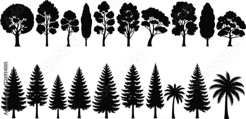 Tree silhouette set, deciduous and coniferous shapes, palm trees, foliage variety, botanical icons, landscape design, vector illustration, black graphic