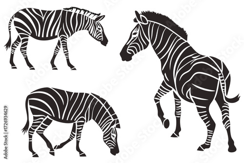 Zebra animal vector illustration african wildlife safari mammal black and white striped pattern design zebras silhouette