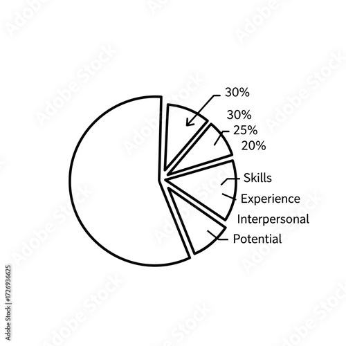 A black and white outline drawing of a pie chart with multiple slices, some labeled with percentages and others with terms like Skills, Experience, Interpersonal, and Potential.